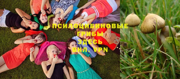 СК Абдулино