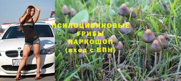 хмурый Абинск