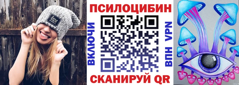 Псилоцибиновые грибы MAGIC MUSHROOMS  где купить наркоту  Циолковский 
