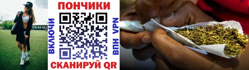 наркотики  Циолковский  Канабис SATIVA & INDICA 